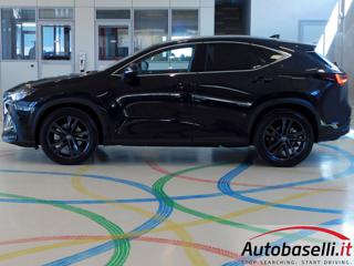 LEXUS NX 450h usata, con Sistema di navigazione