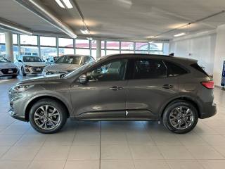 FORD Kuga usata, con Airbag Passeggero