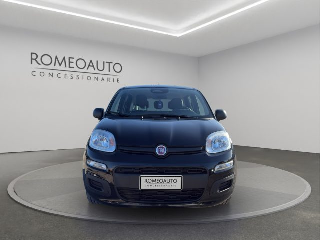 FIAT Panda usata, con Fendinebbia