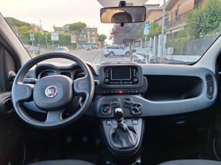 FIAT Panda usata, con Immobilizzatore elettronico