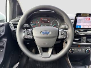 FORD Fiesta usata 12