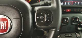 FIAT Panda Cross usata 63