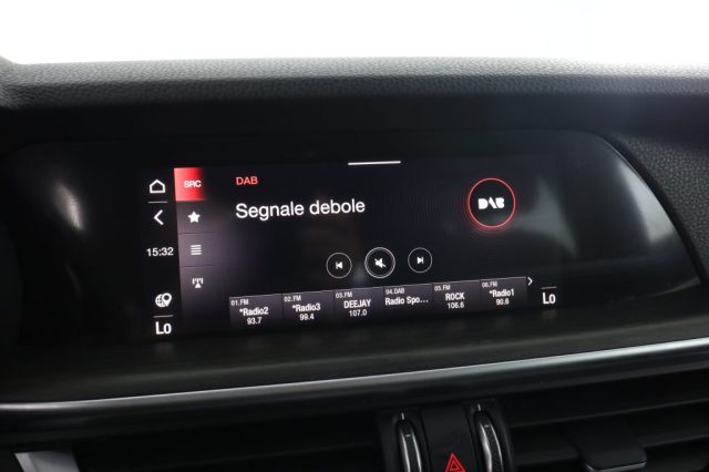 ALFA ROMEO Stelvio usata 10