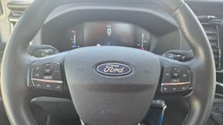 FORD Transit usata, con Autoradio digitale