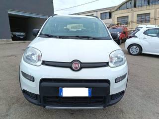 FIAT Panda usata 2