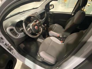 FIAT Panda usata, con ESP