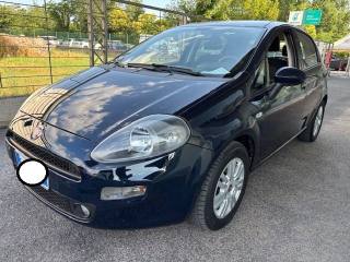 FIAT Punto usata, con Climatizzatore