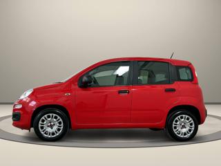 FIAT Panda usata, con Airbag Passeggero