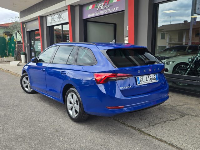 SKODA Octavia usata 105