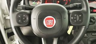 FIAT Panda usata 48