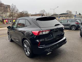FORD Kuga usata, con Airbag Passeggero