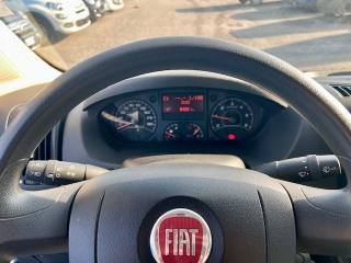 FIAT Ducato usata 18