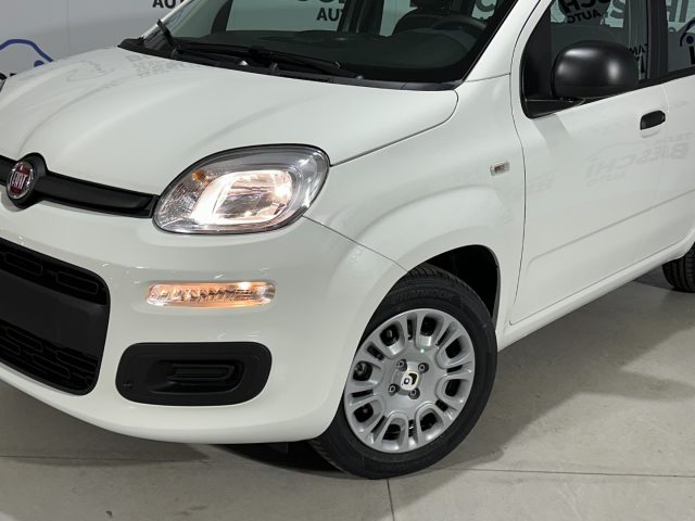 FIAT Panda usata, con Airbag