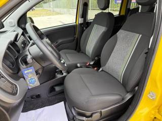 FIAT Panda usata 14