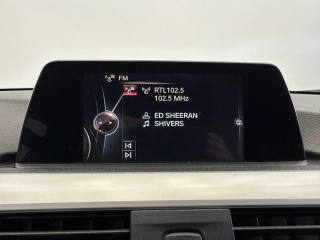 BMW 320 usata, con Vivavoce