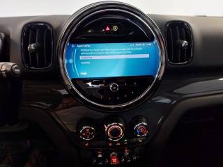 MINI Countryman usata, con Luci diurne LED