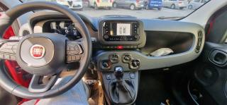 FIAT Panda usata, con Chiusura centralizzata