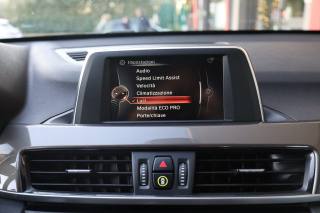 BMW X1 usata 141