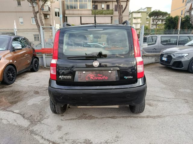 FIAT Panda usata, con Alzacristalli elettrici