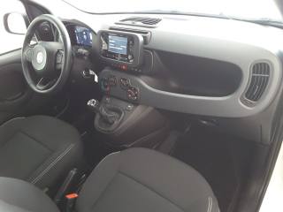 FIAT Panda usata, con Cruise Control