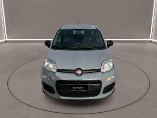 FIAT Panda usata, con Airbag