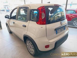FIAT Panda usata, con Antifurto