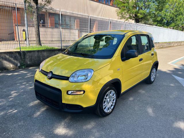 FIAT Panda usata, con Airbag Passeggero