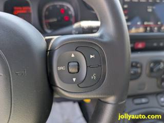 FIAT Panda usata 24