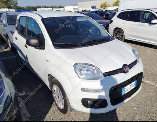 FIAT Panda 1.2 EasyPower Easy IN ARRIVO