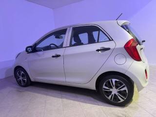 KIA Picanto usata 7