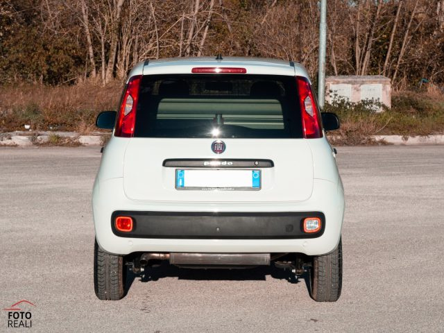 FIAT Panda usata 17