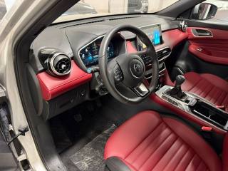 MG HS usata, con ESP