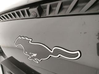 FORD Mustang Mach-E usata, con Regolazione elettrica sedili