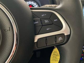 JEEP Renegade usata 19