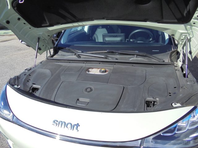 SMART Smart usata 59