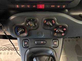 FIAT Panda Cross usata, con Immobilizzatore elettronico