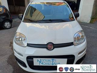 FIAT Panda usata, con Alzacristalli elettrici