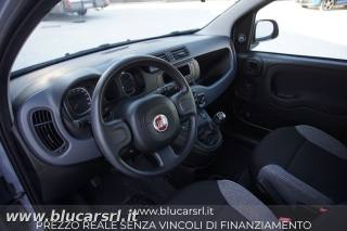 FIAT Panda usata 5