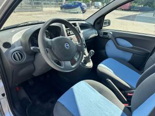FIAT Panda usata 8