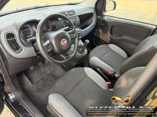 FIAT Panda usata, con Chiusura centralizzata