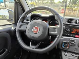 FIAT Panda usata 10