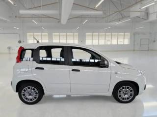 FIAT Panda usata, con Antifurto
