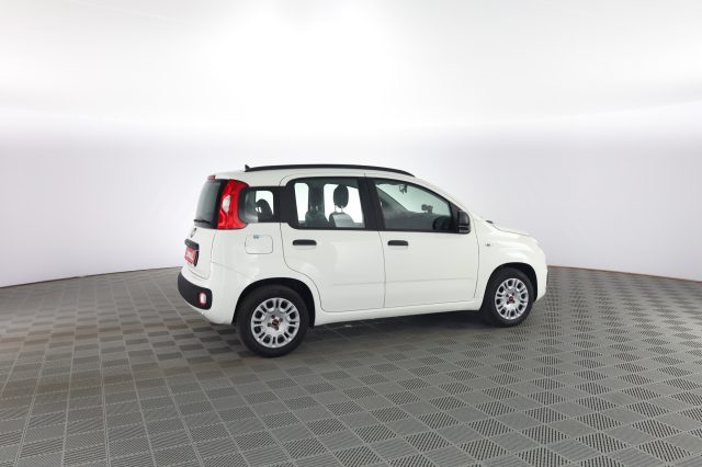 FIAT Panda usata 2
