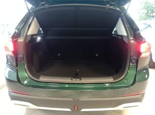 MG ZS usata, con Frenata d