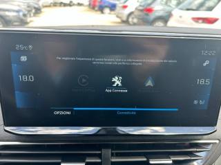 PEUGEOT 3008 usata, con Fendinebbia