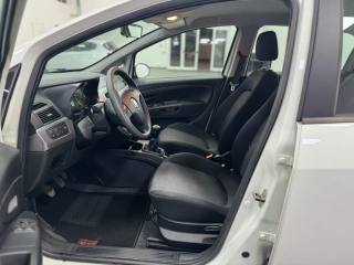 FIAT Punto usata, con Fendinebbia