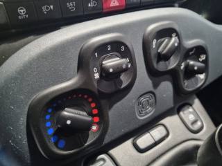FIAT Panda usata 10