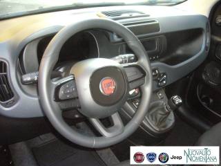 FIAT Panda usata, con Servosterzo