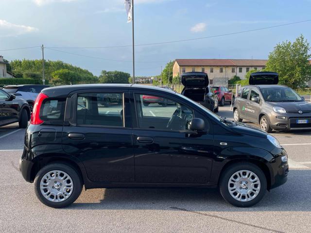 FIAT Panda usata, con Alzacristalli elettrici