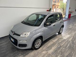 FIAT Panda usata, con Airbag Passeggero